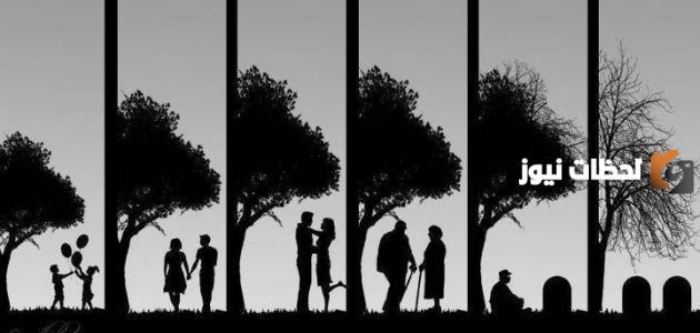 حكمة مميزة عن الحياة