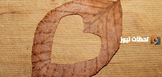 عبارات حب راقية