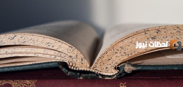 عبارات عن خالتي تويتر