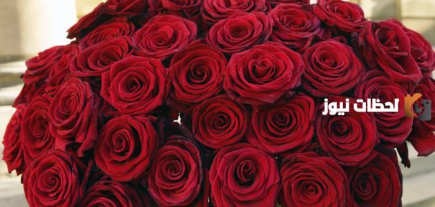 كلام غزل عن الورد