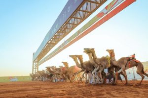 في هذا الموعد... الاتحاد السعودي للهجن يعلن عن موعد إقامة مزاد الهجن في العاصمة الرياض