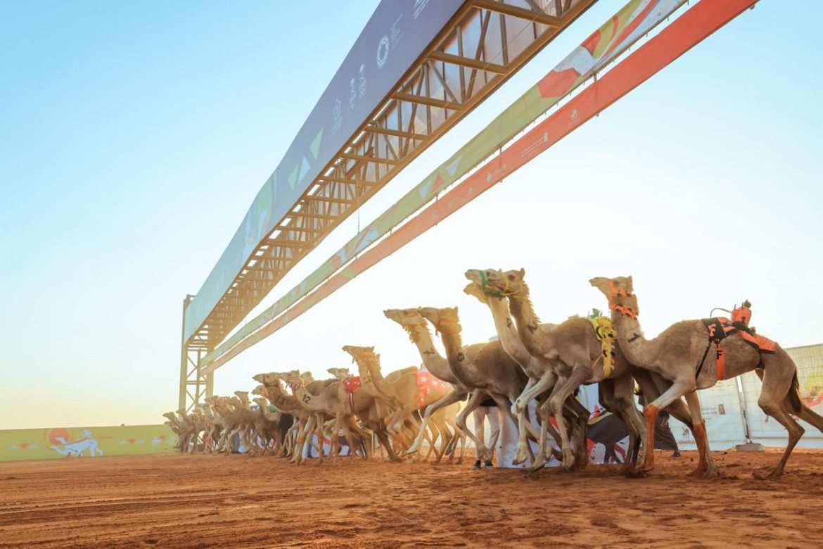 في هذا الموعد... الاتحاد السعودي للهجن يعلن عن موعد إقامة مزاد الهجن في العاصمة الرياض