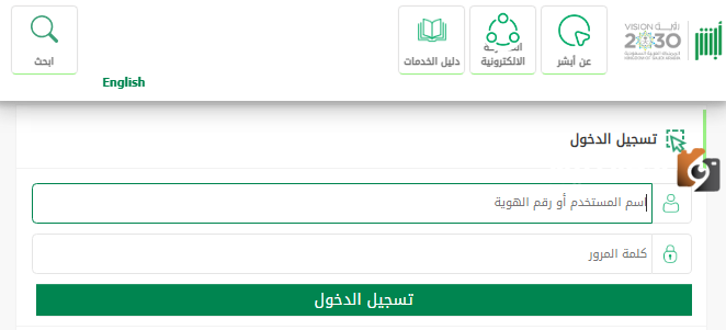 الفئات المسموح لها بالحصول على الجنسية السعودية