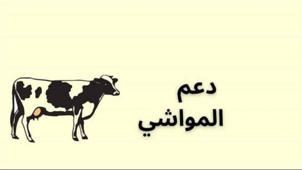 موعد إيداع دعم المواشي لشهر أكتوبر 2025