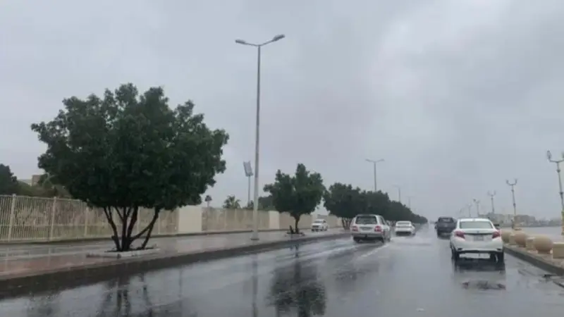 توقعات الطقس