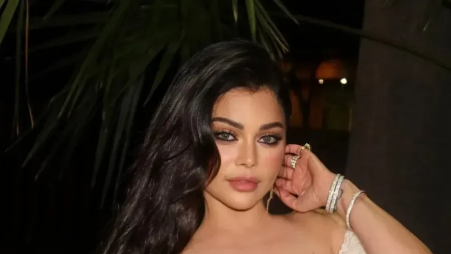 هيفاء وهبي