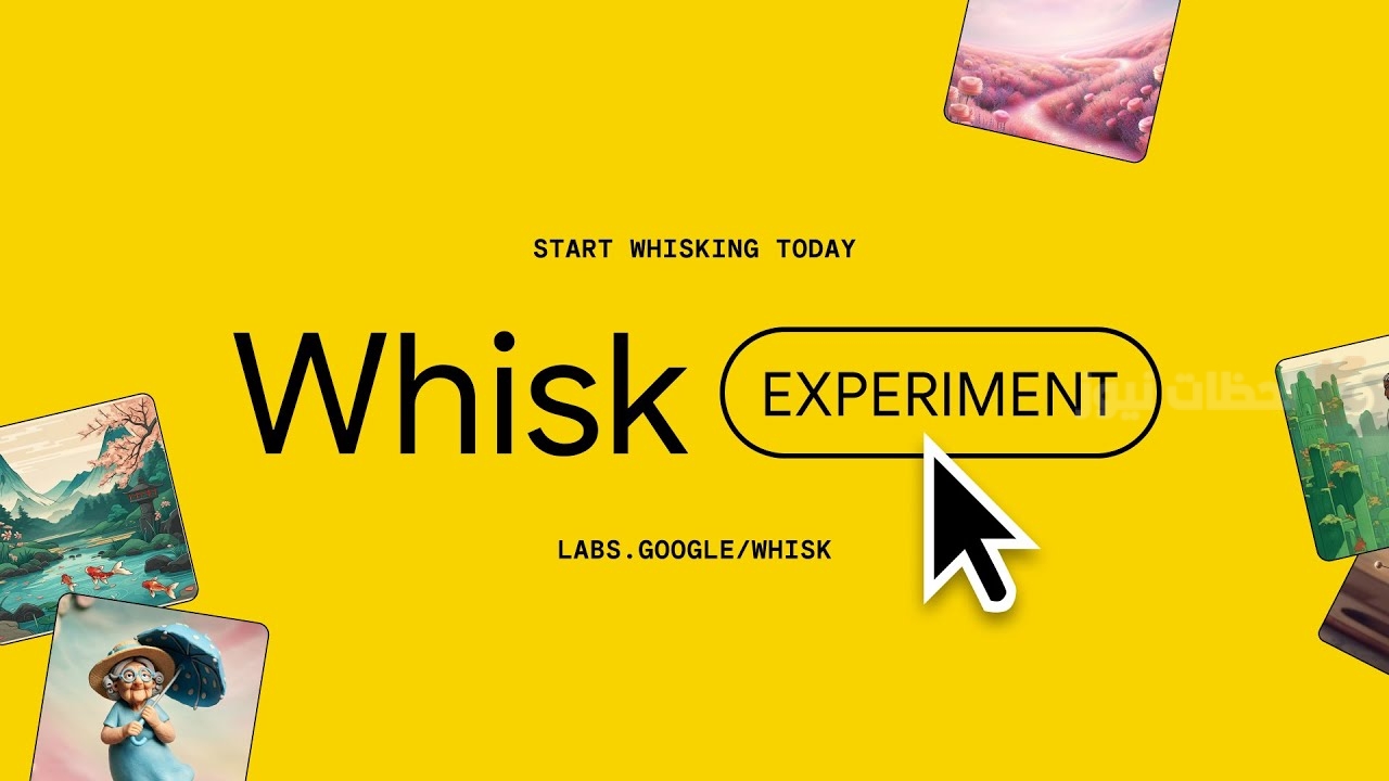 Whisk
