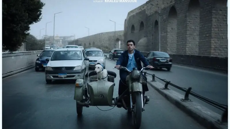 البحث عن منفذ لخروج السيد رامبو