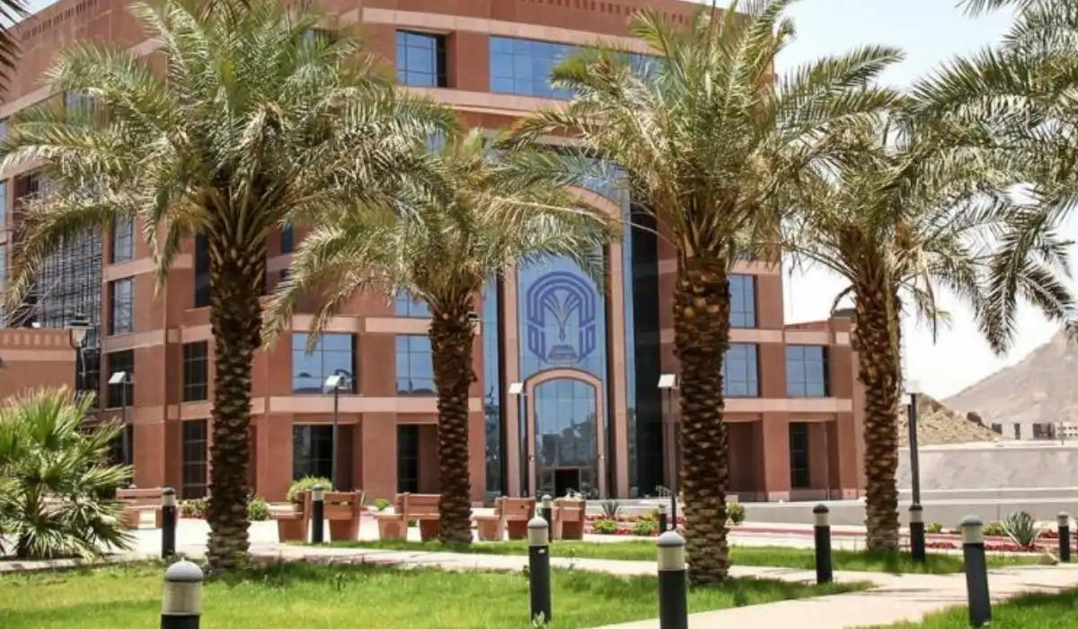 جامعة طيبة