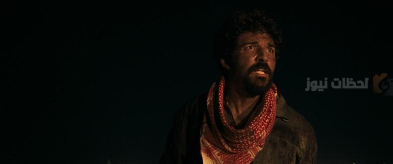 صيفي