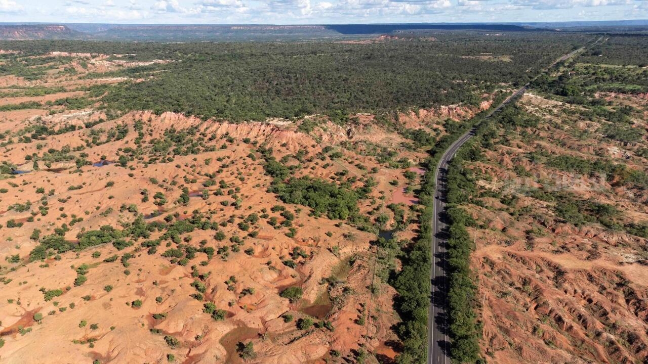 مكافحة التصحر مكافحة التصحر