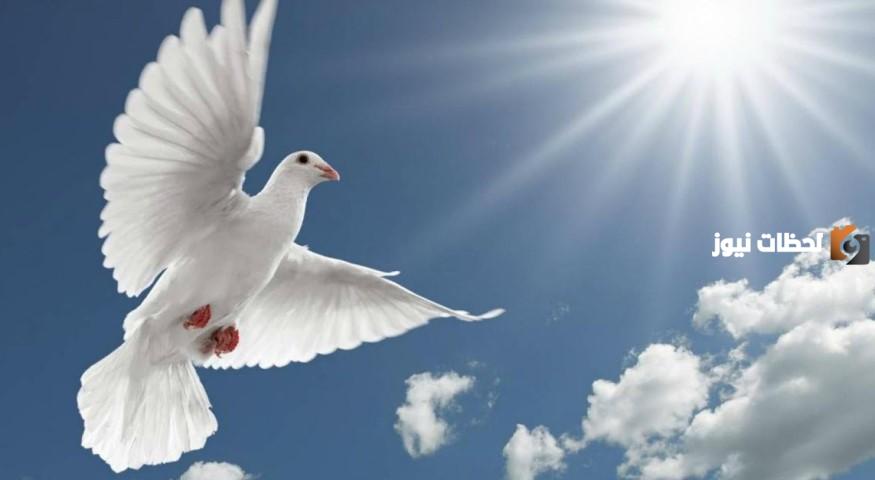 أهمية التسامح | دور التسامح في المجتمع