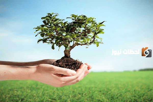 افكار توزيعات يوم التخضير