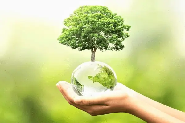 افكار توزيعات يوم التخضير