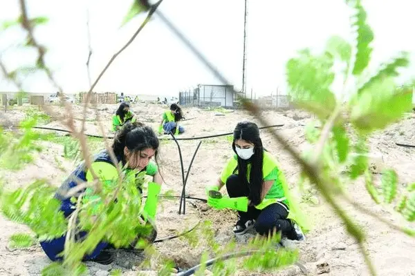 افكار ليوم التخضير في الكويت