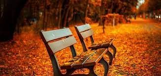 عبارات عن الخريف بالانجليزي | شعر عن الخريف