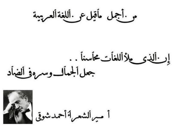 عبارات قصيرة عن اللغة العربية | كلمات عن اللغة العربية
