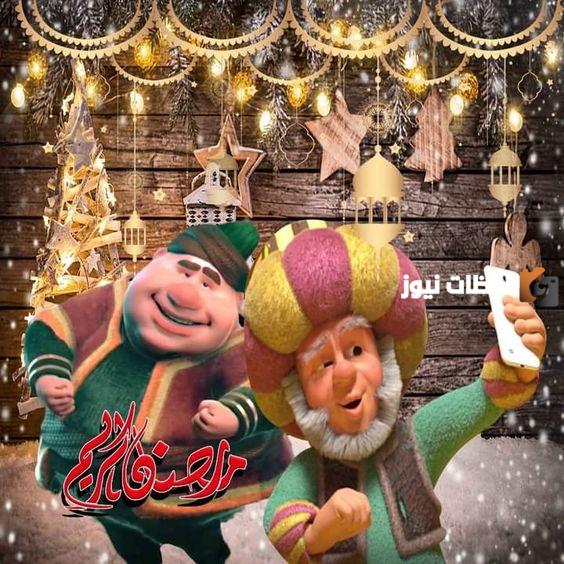 صور فنانيس جميلة ومضحكة