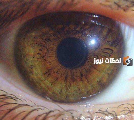 صور لون عيون عسلي مخضر