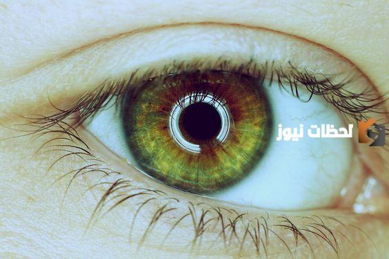 صور لون عيون عسلي مخضر
