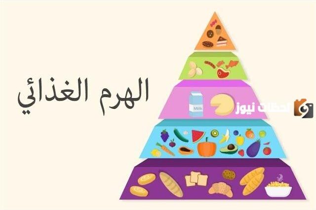 الهرم الغذائي للاطفال pdf