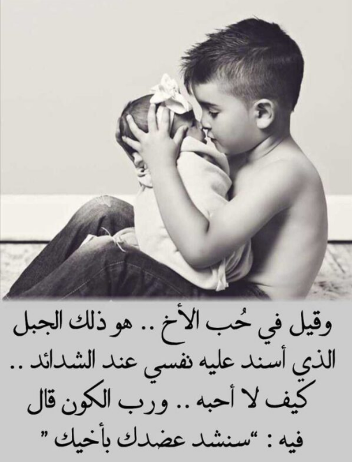 أجمل عبارات عن الأخوة والصداقة