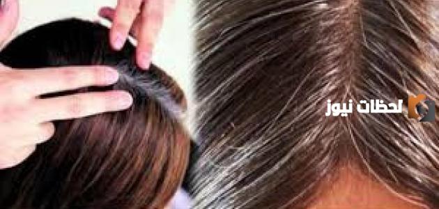 أفضل صبغة للشعر الأبيض