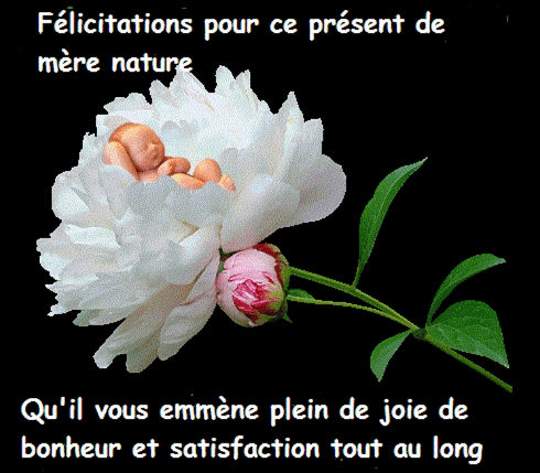 عبارات بمناسبة عيد الأم | عبارات عن عيد الأم بالفرنسية