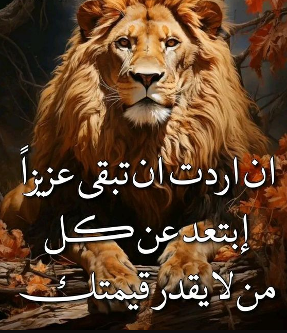 حكم وأمثال عربية | أجمل الحكم المنقولة عن العرب