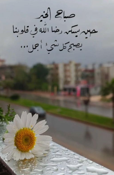 عبارات عن الأمل والتفاؤل | خواطر عن الأمل والتفاؤل