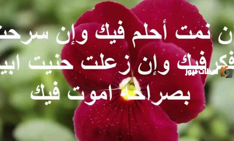 كلام حب قوي للحبيبة مميزة