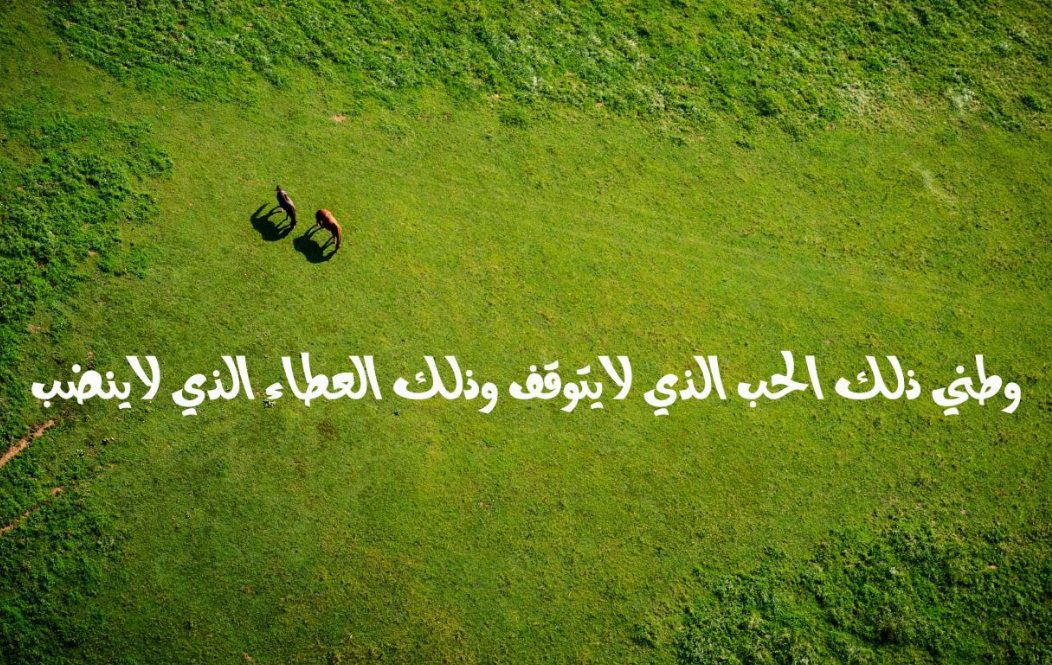 أجمل كلام عن الوطن السعودي وعبارات من القلب