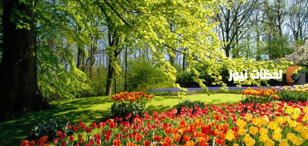 موضوع تعبير عن وصف الطبيعة في فصل الصيف