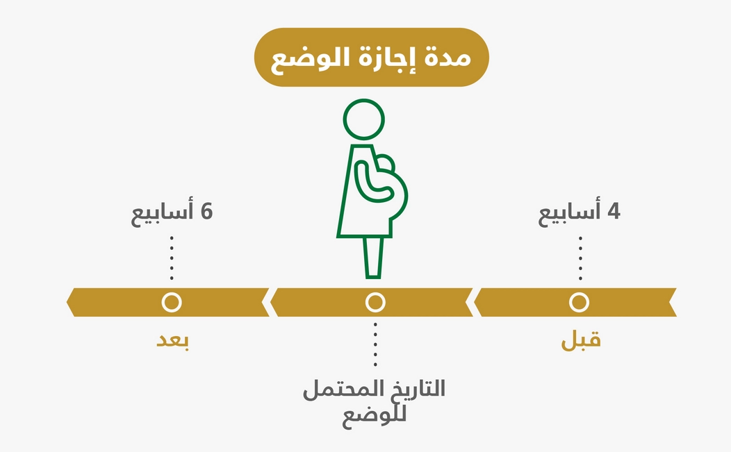 دليلك الشامل حول إجازة المولود لموظفي القطاع الخاص في السعودية وشروط الإجازة