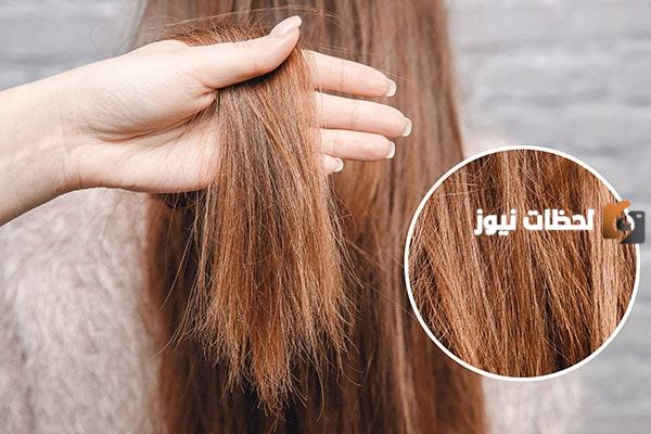 طريقة استخدام شامبو بانتين للشعر الجاف