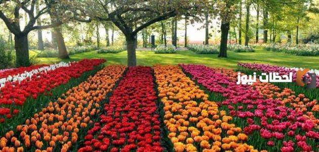 موضوع تعبير عن فصل الصيف للصف الرابع الابتدائي