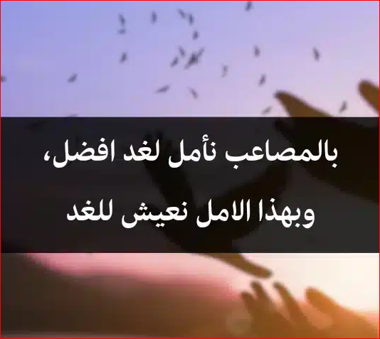 كلام جميل ورائع عن الحياة