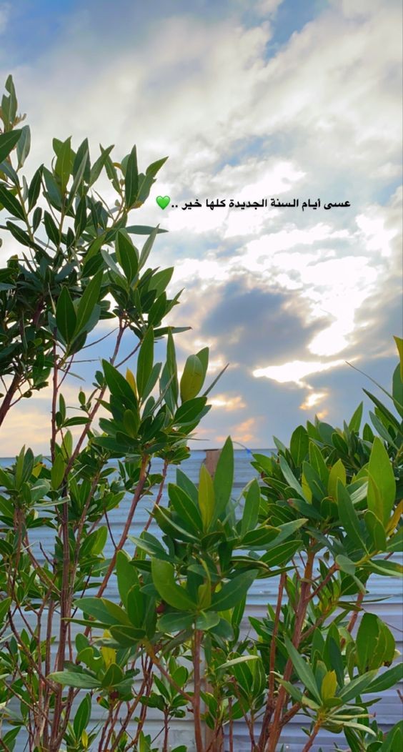 أول يوم في السنة الهجرية | عبارات عن صباح أول يوم في السنة الهجرية الجديدة