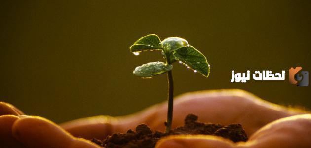 لابد من العمل الصالح مع الإيمان للنجاة من الهلاك