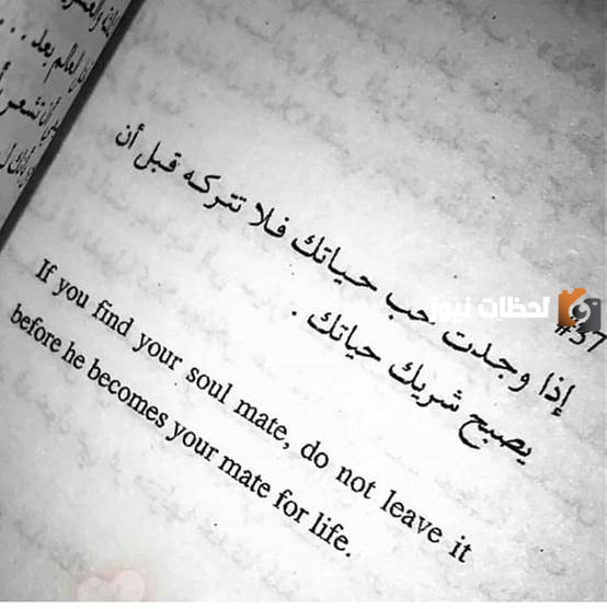 حكم وأمثال قصيرة جداً عن الحب