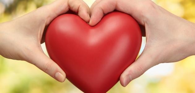 كلام في الصميم قصير عن الحب