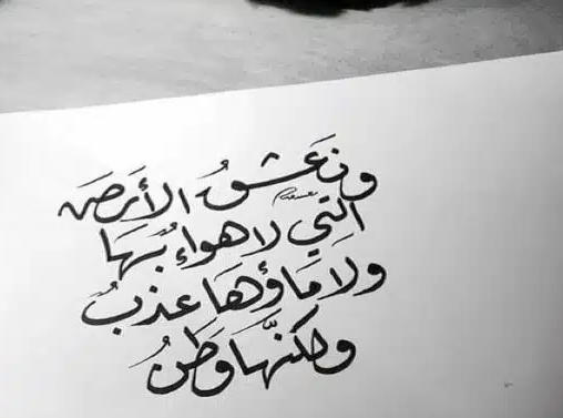 اجمل عبارات محمود درويش عن الوطن