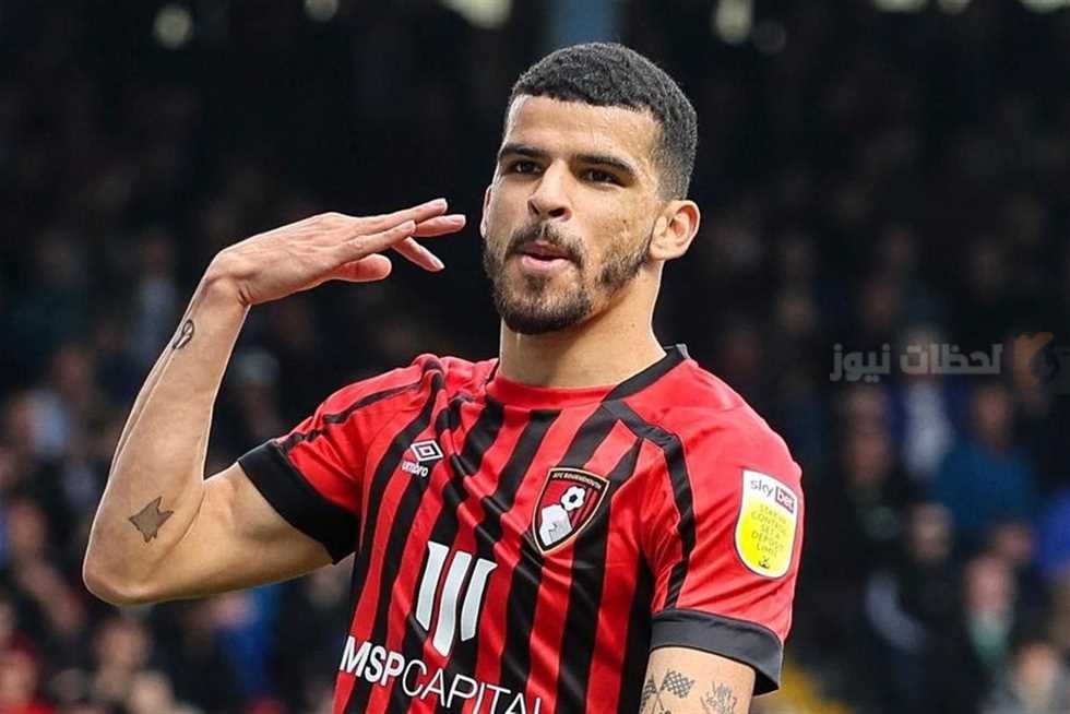 دومينيك سولانكي