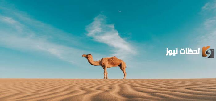 حديث معاذ بن جبل حين بعثه الى اليمن