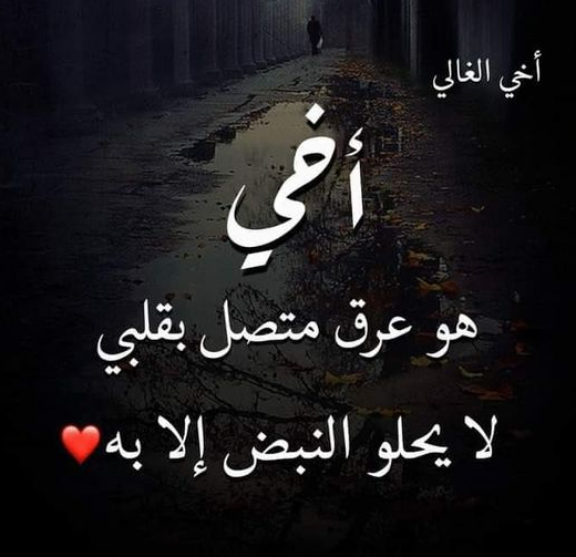 أجمل عبارات عن الأخوة والصداقة