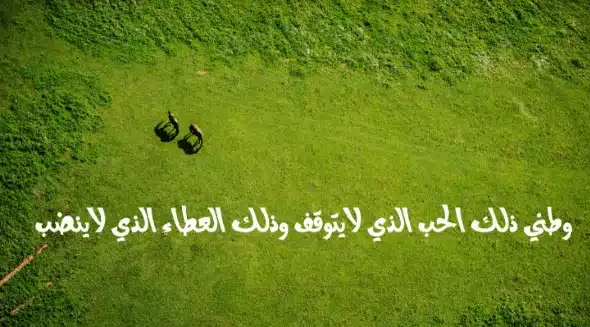 اجمل عبارات محمود درويش عن الوطن