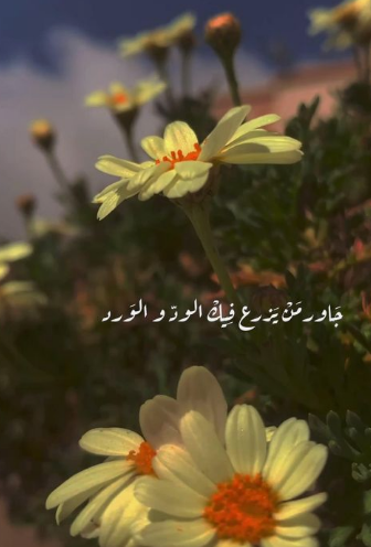 عبارات عن الأمل والتفاؤل | خواطر عن الأمل والتفاؤل