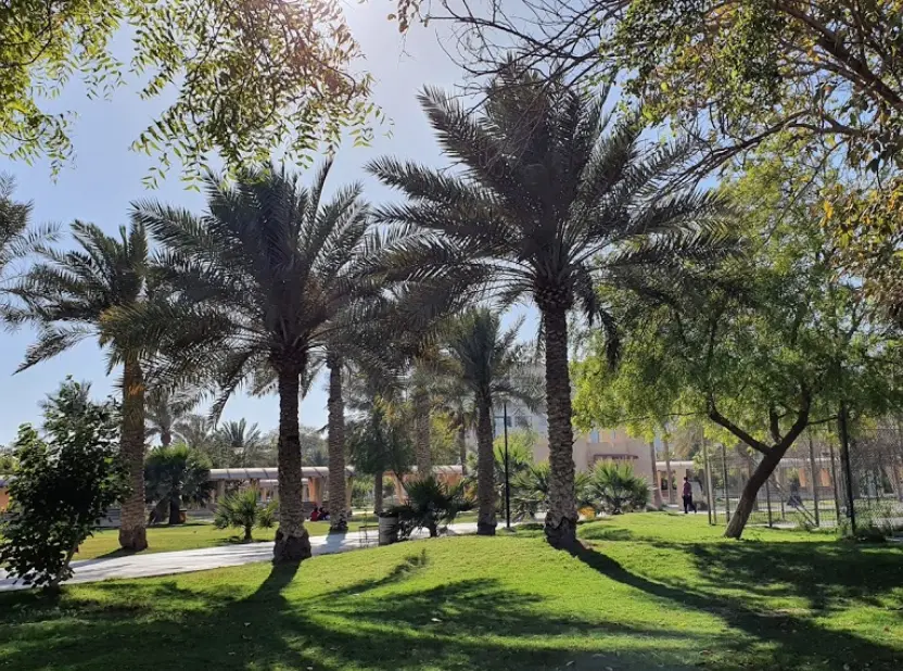 ما هي أفضل الأماكن في البحرين للعوائل والأطفال