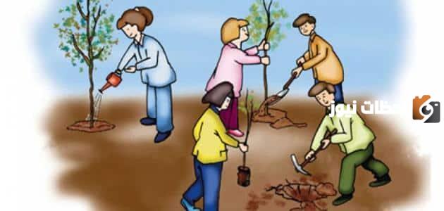 كيف نحافظ على البيئة نظيفة