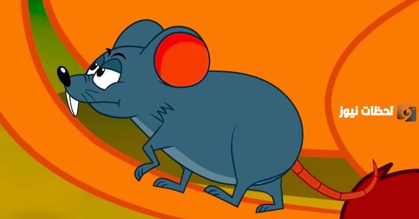 تلخيص قصة الجرذ والسنور من كتاب كليلة ودمنة للأطفال